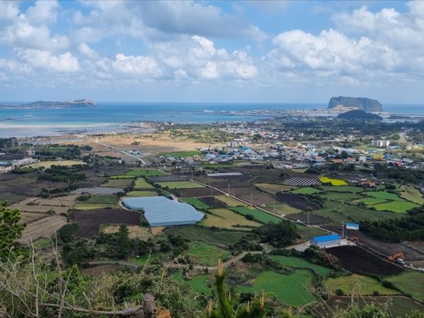 Hightlights of Jeju - Multi Day Tour for 2 days